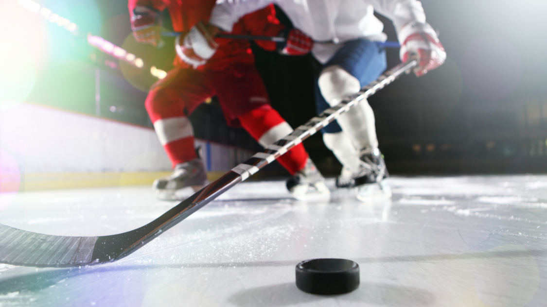 BLAZE HARMONY opět u mistrů hokeje!